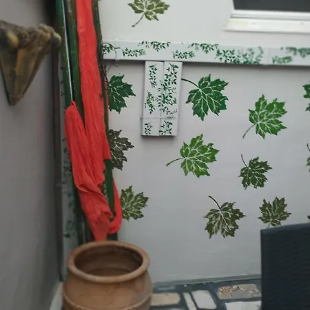 Family Friendly Spacious Near Ancient Olympia And Katakolo Fully Equipped With Garden Apartment