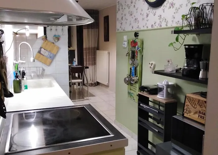 Family Friendly Spacious Near Ancient Olympia And Katakolo Fully Equipped With Garden Appartement
